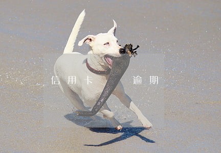 信用卡  逾期